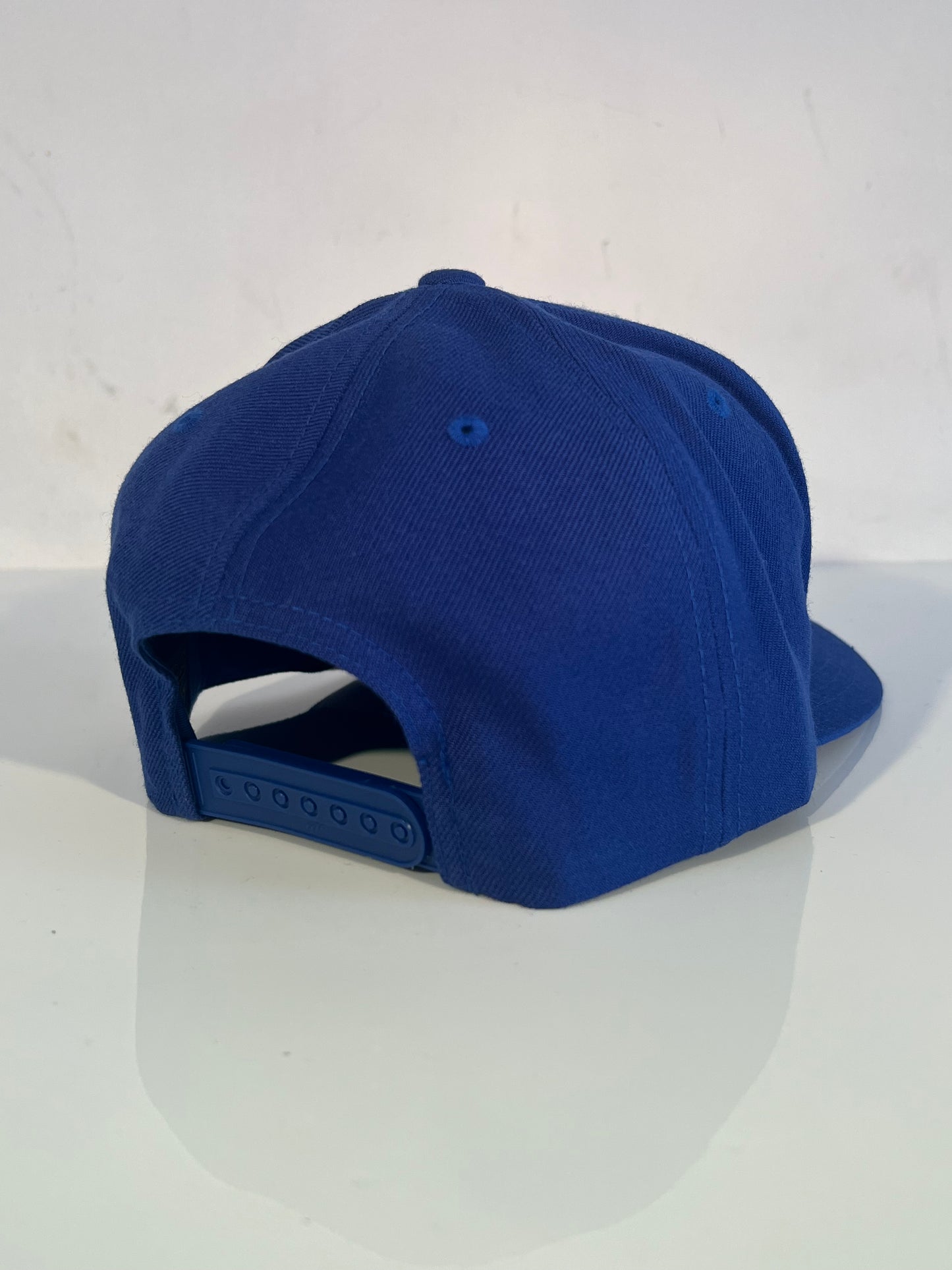 Blue / Chrome LB Snapback